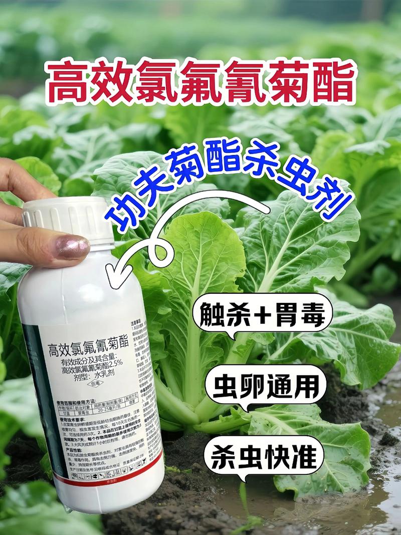 石河子代生中心:农药对供卵代生妈妈的危害